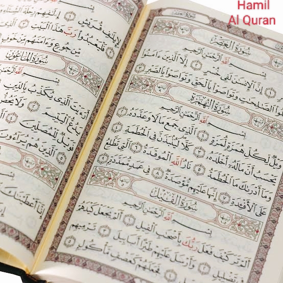 Quran - Arabic Language Learning