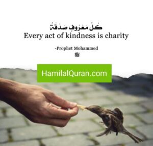 Environmental responsibilities in Islam